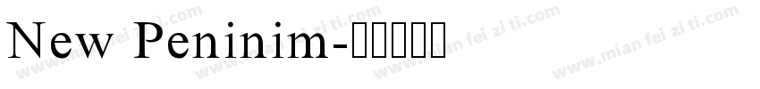 New Peninim字体转换